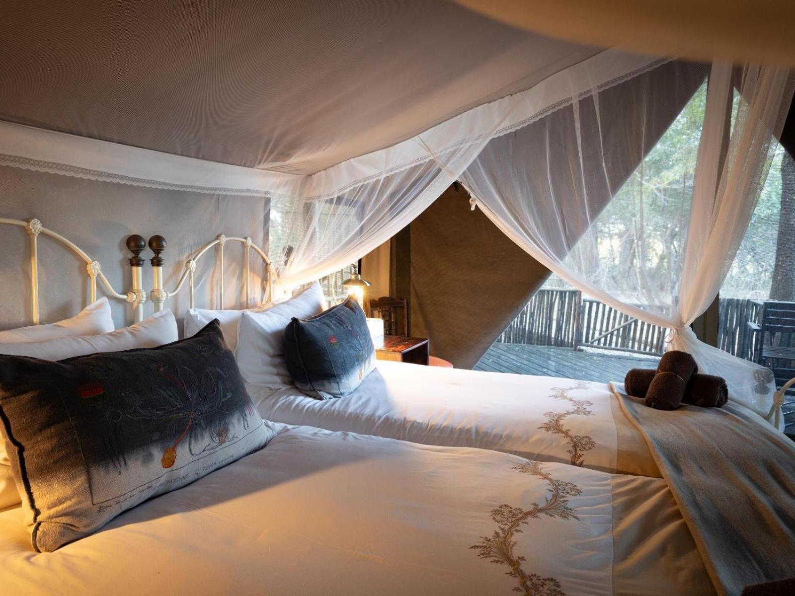 שמורת ת'ורניבוש Kwambili Game Lodge חדר תמונה