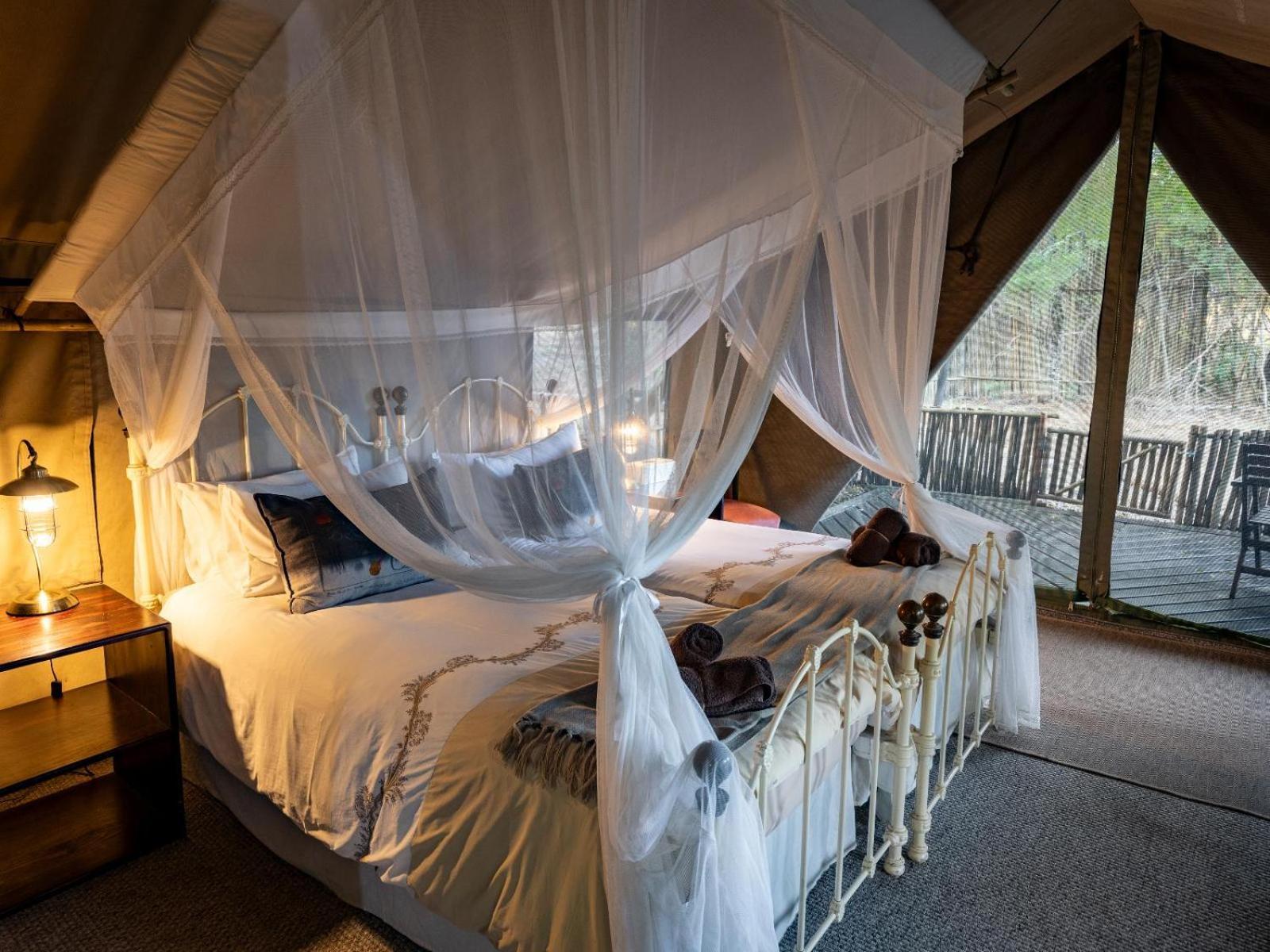 שמורת ת'ורניבוש Kwambili Game Lodge חדר תמונה