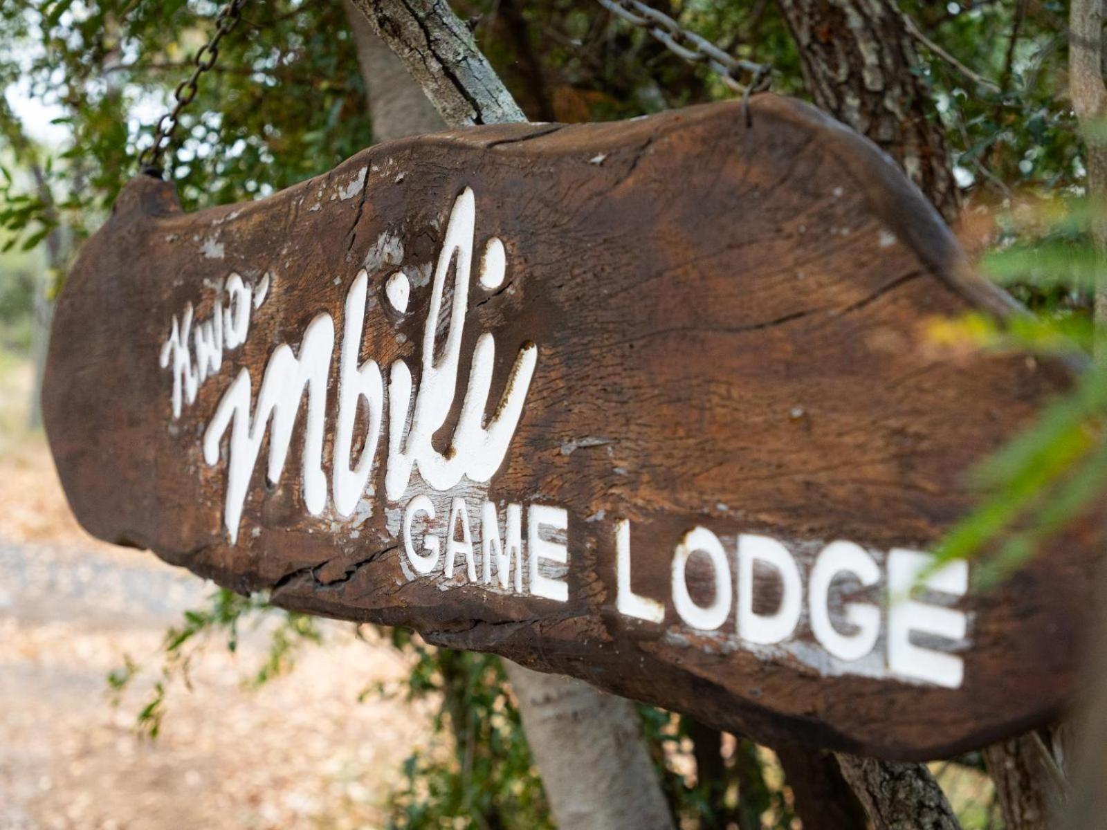 שמורת ת'ורניבוש Kwambili Game Lodge מראה חיצוני תמונה