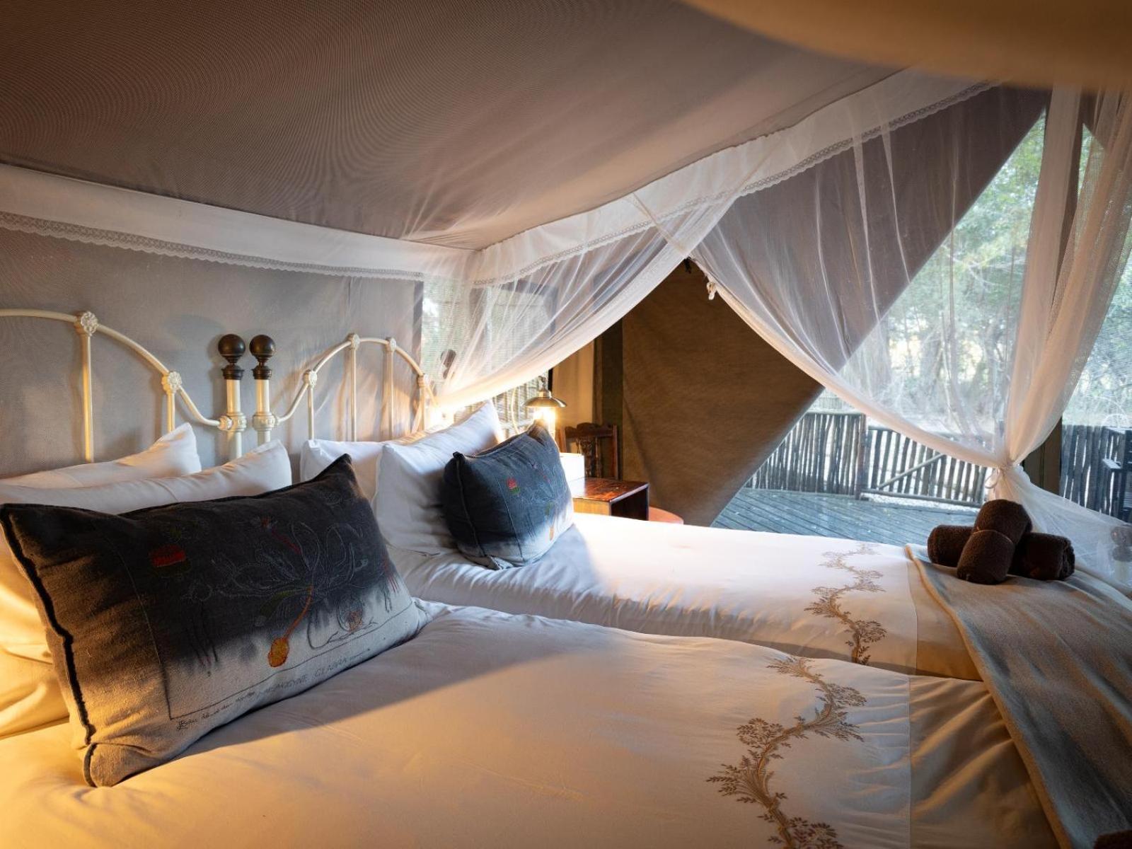 שמורת ת'ורניבוש Kwambili Game Lodge מראה חיצוני תמונה