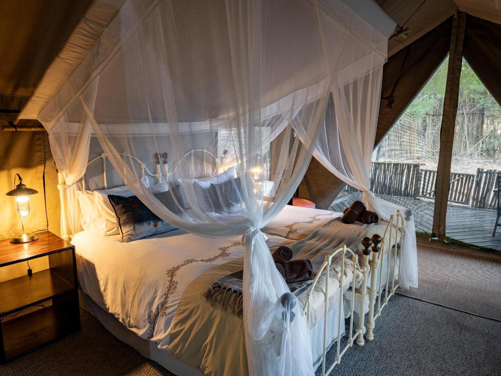 שמורת ת'ורניבוש Kwambili Game Lodge חדר תמונה