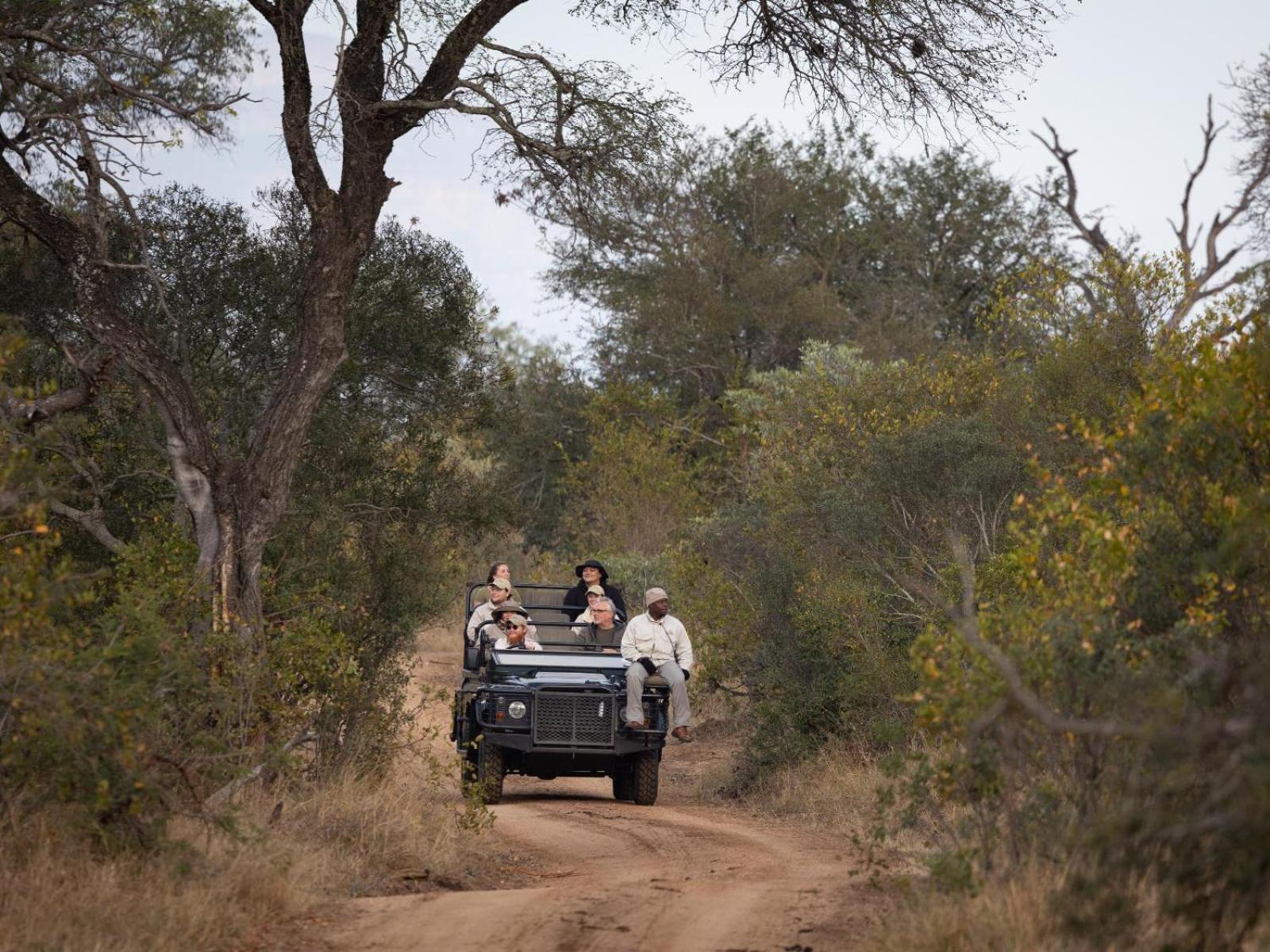 שמורת ת'ורניבוש Kwambili Game Lodge מראה חיצוני תמונה